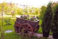 다른 누구와도 비교할 수 없는 DIY 원예 및 채소 재배