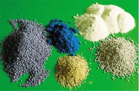 토마토 수확 후 토마토에 먹이를 주는 방법