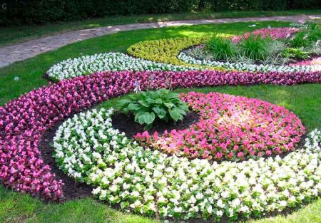 정원 플롯 디자인