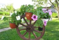 직접 만드는 정원 설계