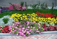 다차에 직접 만드는 화단 디자인