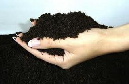 토양을 준비하다