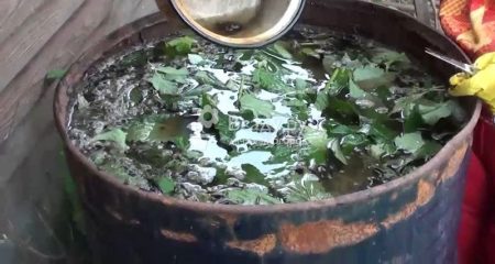 토마토의 초본 비료