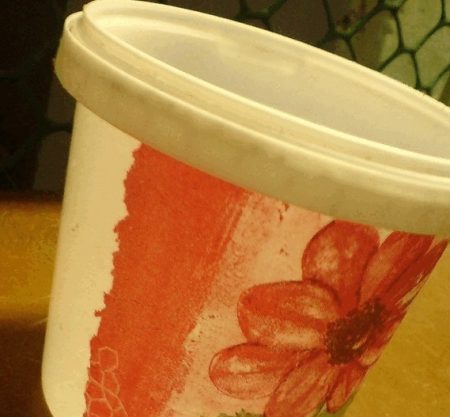 마요네즈 통에서 나온 화분