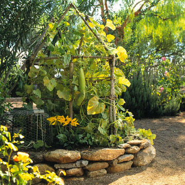 여름 별장 디자인