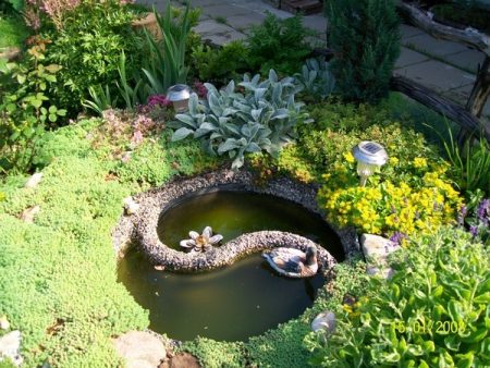 여름 별장 부지의 연못