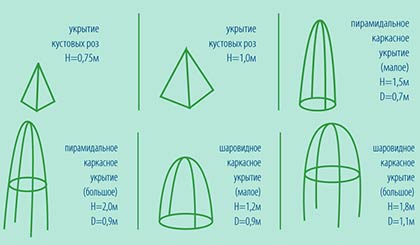 겨울 동안 장미를 덮다