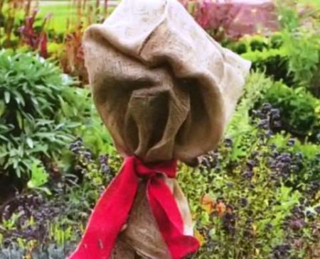 표준 장미를 덮다