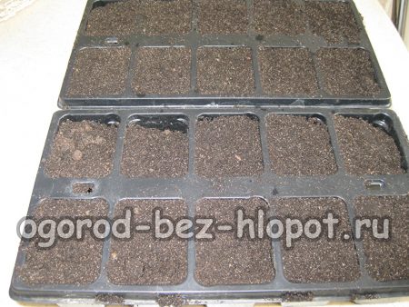 토마토 묘목 재배용 토양