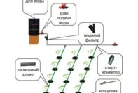 다차에 직접 설치하는 점적 관개