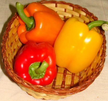 캘리포니아 원더 페퍼