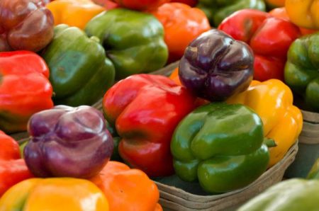 캘리포니아 원더 페퍼