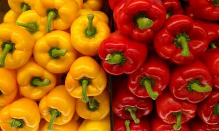 캘리포니아 원더 페퍼