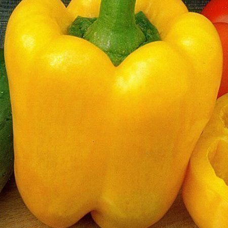 캘리포니아 원더 페퍼