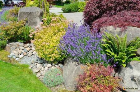 다차를 위한 DIY 알파인 슬라이드