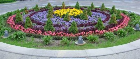 다차를 위한 아름다운 DIY 다년생 화단, 사진