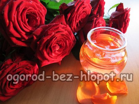 장미의 절단 번식