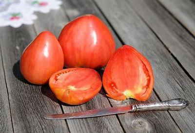 토마토 "Bull's Heart": 품종의 특성 및 설명