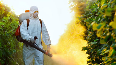 진드기로부터 직접 지역을 치료하는 방법