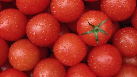 토마토 "부데노프카": 리뷰, 사진