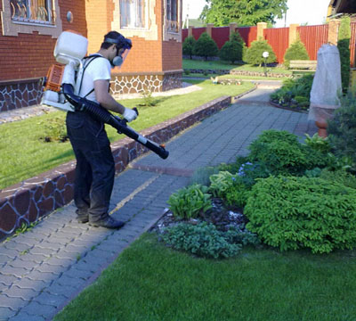 진드기로부터 직접 지역을 치료하는 방법