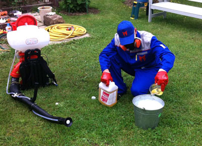 진드기로부터 직접 지역을 치료하는 방법