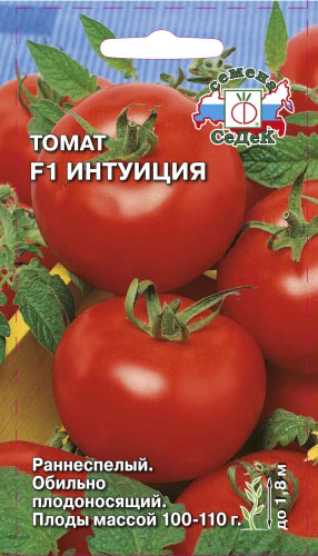 토마토 직관 리뷰, 사진 및 수확량