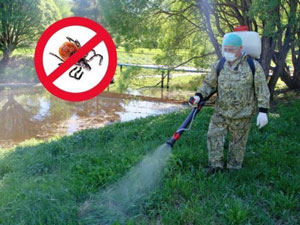 진드기로부터 직접 지역을 치료하는 방법