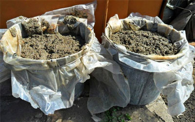 닭똥: 비료로 희석하는 방법