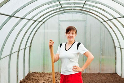 봄철 온실을 해충 및 질병으로부터 보호하는 방법