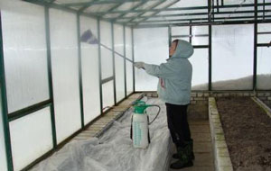 봄철 온실을 해충 및 질병으로부터 보호하는 방법