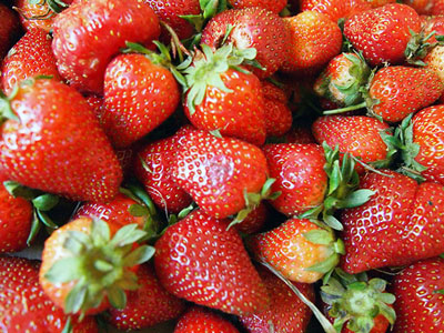 봄철 딸기를 질병 및 해충으로부터 보호하는 방법