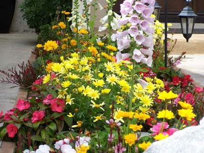 여름 내내 피는 화단용 꽃: 사진과 이름