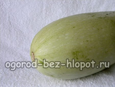 열린 땅에서 호박 재배하기