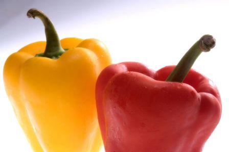 최고의 고추 씨앗