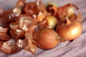 정원이나 채소밭에 양파 껍질을 바르는 방법