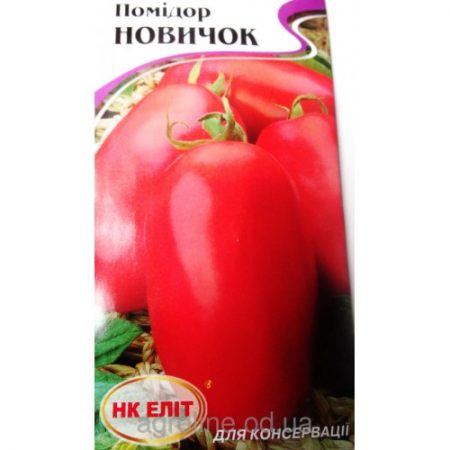 버라이어티 초보자