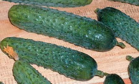 버라이어티 파살리모 F1