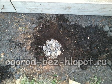 배수를 위해 바닥에 굵은 자갈을 깔아주세요.