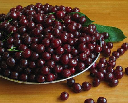 체리 "쇼콜라드니차": 품종 설명, 리뷰