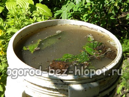 용기에 물을 채우고 발효시킵니다.