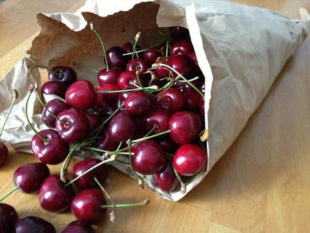 체리 "쇼콜라드니차": 품종 설명