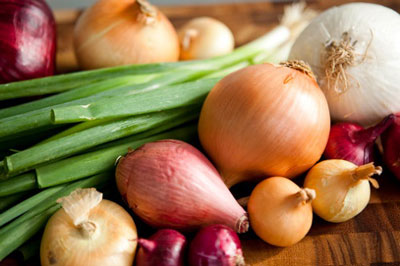 모스크바 지역에서 양파를 수확하는 시기