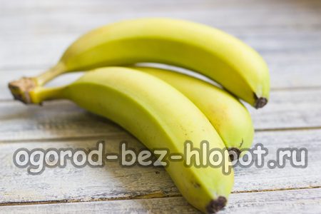 집에서 바나나를 키우는 방법