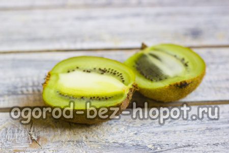 집에서 키위 재배하기