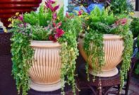 다차의 꽃병에 꽂힌 꽃들