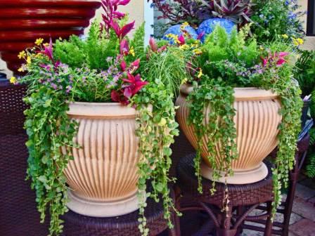 다차의 꽃병에 꽂힌 꽃들