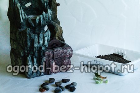 다육식물 조성을 위한 재료