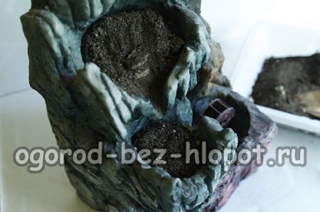 3. 흙 혼합물을 채웁니다.