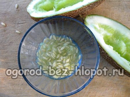 오이에서 씨를 제거하세요